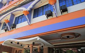 Golden Stallion Suites